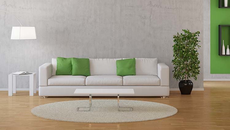 10 Houseplants That Improve Your Indoor Air Quality